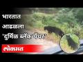 भारतात आढळला 'दुर्मिळ ब्लॅक पँथर' | Black Panther In India | India News - Marathi News | 'Rare Black Panther' found in India | Black Panther In India | India News | Latest national Videos at Lokmat.com