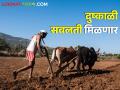 ई-पीक पाहणी नोंद केलेल्या शेतकऱ्यांनाच मिळणार दुष्काळी सवलती - Marathi News | Only farmers who have registered e pik pahani will get drought benefits | Latest agriculture News at Lokmat.com
