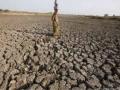 मराठवाड्यातील दुष्काळी स्थिती आणखी गडद : १२ जिल्ह्यांत पाऊस कमी - Marathi News | Drought situation in Marathwada is still dark : 12 districts have less rainfall | Latest maharashtra News at Lokmat.com