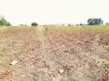 Drought In Marathwada : रिठा येथील शेतकरी कुटुंबांची पोटासाठी भटकंती - Marathi News | Drought in Marathwada: Farmer's family wanders for the food from Ritha | Latest nanded News at Lokmat.com
