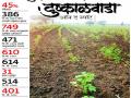 Drought In Marathwada : कपाशी भुईसपाट, मकाही वाळला ! - Marathi News | Drought in Marathwada: Cotton crop vanished, corn dried up! | Latest chhatrapati-sambhajinagar News at Lokmat.com