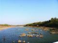 काळू नदीवरील पाणीयोजना बंद? - Marathi News | Water project on Kalu river? | Latest thane News at Lokmat.com