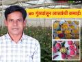 Dutch Roses Farmer Success: डच गुलाबाचा सुपर फॉर्म्युला; दुष्काळी मराठवाड्यात तरुण शेतकऱ्याने केली लाखांची कमाई! - Marathi News | latest news Dutch Roses Farmer Success: Dutch Rose Super Formula; Young farmer earns lakhs in drought-hit Marathwada! | Latest agriculture News at Lokmat.com