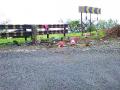 आंबेनळी घाटात टाकतात सडलेला भाजीपाला - Marathi News | Fertilizers add rotten vegetables to the deficit | Latest raigad News at Lokmat.com