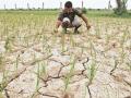 महाआघाडी सरकार शेतकऱ्यांना दोन टप्प्यात देणार कर्जमाफी - Marathi News | Maha Aghadi government will give loan waiver to farmers in two phases | Latest maharashtra News at Lokmat.com