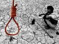 ११ महिन्यांत १,१०० शेतकऱ्यांच्या आत्महत्या - Marathi News | 1100 farmers suicide in 11 months | Latest maharashtra News at Lokmat.com