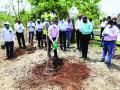 नवी मुंबई पालिका लावणार ५० हजार वृक्ष - Marathi News | Navi Mumbai Municipality to plant 50,000 trees | Latest navi-mumbai News at Lokmat.com