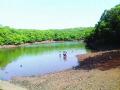 माथेरानमध्ये मुबलक पाणीसाठा - Marathi News | Matheran contains plenty of water | Latest raigad News at Lokmat.com