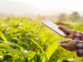 मोबाईल अ‍ॅपव्दारे ई पीक पाहणी अहवाल : राज्य सरकारचा निर्णय  - Marathi News | E- crops survey report by mobile app: state government decision | Latest maharashtra News at Lokmat.com