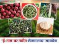 कृषी व्यापाराला चालना देण्यासाठी 'ई-नाम'वर या १० नवीन शेतमालाचा समावेश; वाचा सविस्तर - Marathi News | To boost agricultural trade, these 10 new agricultural commodities have been included on 'e-NAM'; Read in detail | Latest agriculture News at Lokmat.com