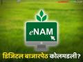e-NAM Scheme : डिजिटल योजना ठप्प! वसमत बाजारात पुन्हा जुनाच खेळ सुरू? - Marathi News | latest news e-NAM Scheme: Digital scheme stalled! Is the old game starting again in the Vasmat market? | Latest agriculture News at Lokmat.com