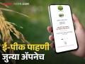 E-Peek Pahani: खरीप हंगामातील ई-पीक पाहणीला १ ऑगस्टपासून सुरवात, जुन्या अॅपमधूनच होणार पीक पाहणी - Marathi News | E-Pik pahani inspection in Kharif season will start from August 1, crop inspection will be done from the old app only | Latest agriculture News at Lokmat.com