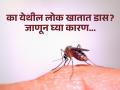 एका दिवसात एक लाख डास खातात येथील लोक, हैराण करणारं आहे कारण... - Marathi News | People here eat one lakh mosquitoes in a day, Know the reason | Latest jarahatke News at Lokmat.com