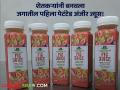 Fig Juice : कौतुकास्पद! पुण्याच्या शेतकऱ्याचा जगात डंका; बनवला जगातील पहिला अंजिराचा ज्यूस - Marathi News | | Latest agriculture News at Lokmat.com