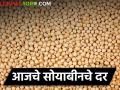 आज कोणत्या बाजार समितीत सोयाबीनला किती मिळाला दर? - Marathi News | How much did soybeans get in which market committee today? | Latest agriculture News at Lokmat.com