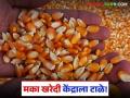 Maize : जळगावमध्ये मका खरेदी केंद्राला टाळे; कोटा वाढवून मिळण्याची प्रतीक्षा - Marathi News | Maize procurement center closed in Jalgaon, waiting for quota increase | Latest agriculture News at Lokmat.com
