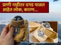 कुत्रे-मांजर नाही तर इथे 'दगड' पाळत आहेत लोक, आपल्या लेकरांसारखा करतात सांभाळ! - Marathi News | Trend : Young people keeping stones as pets in South Korea for companionship | Latest jarahatke News at Lokmat.com