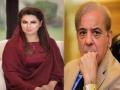 Shahbaz Sharif Secrets Wifes: लग्नाळू! शाहबाजनी 'रंगेल'पणात इम्रान खानलाही मागे टाकले; पाकच्या नव्या पंतप्रधानांची अनेक सिक्रेट लग्ने - Marathi News | Pakistan upcoming PM Shahbaz Sharif Secrets Wife, 5 Marriage's; After imran Khans affairs | Latest international News at Lokmat.com
