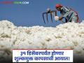 Cotton Import : कापूस उत्पादकांवरील संकट आणखी गडद! शुल्कमुक्त कापसाची आयात ३१ डिसेंबरपर्यंत - Marathi News | Cotton Import The crisis for cotton producers deepens! Duty-free cotton import till December 31 | Latest agriculture News at Lokmat.com