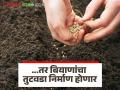 शेतकऱ्यांनो सावधान! पेरणी करण्याआधी हे वाचा; '...तर होऊ शकतो बियाणांचा तुटवडा' - Marathi News | | Latest agriculture News at Lokmat.com