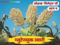 Millets Jowar : ग्लुटेनमुक्त अन् पौष्टिक असलेल्या ज्वारीबद्दल 'या' गोष्टी माहितीयेत का? - Marathi News | Millets Jowar Did you know these things about gluten-free and nutritious jowar? | Latest agriculture News at Lokmat.com
