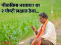 Crop Insurance : खरिपातील पीकविमा भरताय? 'या' दोन गोष्टी महत्त्वाच्या  - Marathi News | Crop Insurance: Paying for crop insurance? 'These' two things are important  | Latest agriculture News at Lokmat.com