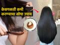 केस धुतल्यानंतर खूप जास्त गळतात, करा फक्त १ उपाय – केसगळती येईल नियंत्रणात... - Marathi News | 1 easy trick to reduce hair fall : Hair falls too much after washing, just do 1 remedy – hair loss will be under control… | Latest sakhi News at Lokmat.com