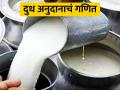 दुधाला ५ रुपयांचे अनुदान; या जिल्ह्याला दररोज मिळणार ११ लाख रुपये - Marathi News | Rs 5 subsidy on milk; This district will get Rs. 11 lakh per day | Latest agriculture News at Lokmat.com