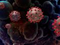 नागपुरात २४ तासात ९१ ‘कोरोना’बळी; ६८९० ‘पॉझिटिव्ह’ - Marathi News | Coronavirus, Nagpur news; 91 'corona' victims in Nagpur in 24 hours; 6890 'Positive' | Latest nagpur News at Lokmat.com
