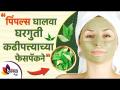चेहऱ्यावरील पिंपल्स घालवा घरगुती कढीपत्त्याचा फेसपॅकने | Benefits of Curry Leaves for Pimples - Marathi News | Get rid of pimples on your face with homemade curry face pack Benefits of Curry Leaves for Pimples | Latest sakhi Videos at Lokmat.com
