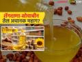 Edible Oil Market : शेंगदाणा-सोयाबीन तेल अचानक महाग? बाजारात नेमकं काय चाललंय - Marathi News | latest news Edible Oil Market: Peanut-soybean oil suddenly expensive? What's really going on in the market | Latest agriculture News at Lokmat.com