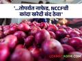 कांदा खरेदीत मोठा भ्रष्टाचार! चौकशी होईपर्यंत नाफेड, NCCFची कांदा खरेदी बंद ठेवण्याची मागणी - Marathi News | Big corruption in buying onions! | Latest agriculture News at Lokmat.com