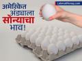 अमेरिकेत अंड्याला सोन्याचा भाव! एका अंड्याच्या किमतीत भारतात डझनभर येतील; काय आहे प्रकरण? - Marathi News | New York Bodega Sells Loose Eggs Amid Rising Prices | Latest business News at Lokmat.com
