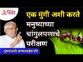 एक मुंगी अशी करते मनुष्याच्या चांगुलपणाचे परीक्षण | Gurumauli Annasaheb More | Lokmat Bhakti - Marathi News | This is how an ant tests man's goodness Gurumauli Annasaheb More | Lokmat Bhakti | Latest bhakti Videos at Lokmat.com