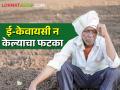 ई-केवायसी न केल्याचा फटका; ९४ हजार शेतकरी पीएम किसान सन्मान निधीला मुकणार! - Marathi News | Impact of not doing e-KYC; 94 thousand farmers will miss the PM Kisan Samman Nidhi! | Latest agriculture News at Lokmat.com