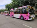 'आपली बस'च्या ताफ्यात लवकरच ४० इलेक्ट्रीक बस - Marathi News | 40 electric buses in the troupe of 'Apali bus' soon | Latest nagpur News at Lokmat.com