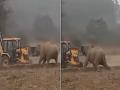 JCBपाहून बिथरला हत्ती, अचानक केला हल्ला; पाहा थरारक व्हिडिओ - Marathi News | elephant attack on JCB, video goes viral, Watch the thrilling video | Latest jarahatke News at Lokmat.com