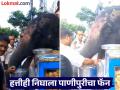 VIDEO : रस्त्यात थांबून हत्तीने पाणीपुरीवर मारला ताव, लोक म्हणाले - 'ही नक्कीच हत्तीण असेल...' - Marathi News | Elephant eating panipuri and enjoy it video goes viral on social media | Latest social-viral News at Lokmat.com