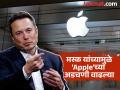 इलॉन मस्क यांना नकार देणे 'अ‍ॅपल'ला महागात पडले; आयफोन वापरकर्त्यांना ही खास सेवा मिळत नाही - Marathi News | Apple's rejection of Elon Musk cost it dearly; iPhone users don't get this special service | Latest tech Photos at Lokmat.com