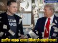 Elon Musk यांना मिळालं ट्रम्प जिंकल्याचं बक्षीस, दिल्लीच्या बजेटच्या अडीचपट दिवसात कमावले - Marathi News | after trump victory elon musk became richer huge increase in net worth 2024 | Latest business News at Lokmat.com
