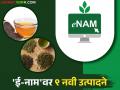 ई-नाम प्लॅटफॉर्मवरील कृषी उत्पादनांची संख्या वाढली; 'या' नवीन ९ उत्पादनांचा समावेश - Marathi News | Number of agricultural products on e-NAM platform increased; 'this' new 9 products included | Latest agriculture News at Lokmat.com