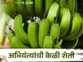 दोन इंजिनीयरची जोडी जमली.. नोकरी सोडली अन् शेतीतील केळी दुबईला निर्यात केली - Marathi News | A pair of two engineers got together.. quit their jobs and export the bananas from the farm to Dubai | Latest agriculture News at Lokmat.com