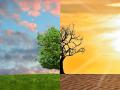 झगमगते पोकळ 'इव्हेंट' आणि हवामान बदलाचे आव्हान - Marathi News | Special editorial articles The Blazing Hollow 'Event' and the Challenge of Climate Change | Latest editorial News at Lokmat.com