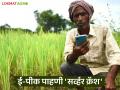 E-Peek Pahani : ई-पीक पाहणी 'सर्व्हर क्रॅश'; शेतकरी त्रस्त, गैरप्रकारांच्या तक्रारी वाचा सविस्तर - Marathi News | latest news E-Peek Pahani: E-Peek Pahani 'server crash'; Farmers are suffering, read the complaints of irregularities in detail | Latest agriculture News at Lokmat.com