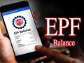 How to check EPF balance online; Website, Mobile, SMS , Missed call - Hindi News | How to check EPF balance online; Website, Mobile, SMS , Missed call | Latest technology Photos at Lokmattimes.com