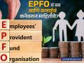 एक स्मार्ट डिसिजन EPFO कडून मिळवून देईल अधिक पेन्शन; वय आणि कमाईचं कनेक्शन बहुतेकांना माहीत नाही - Marathi News | smart decision will get you more pension from epfo most people don t know the connection between age and income | Latest business Photos at Lokmat.com