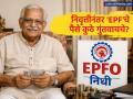६१ व्या वर्षापर्यंत मिळणार ईपीएफवर व्याज! निवृत्तीनंतरच्या उत्पन्नासाठी 'हे' ५ पर्याय देतील आर्थिक सुरक्षा - Marathi News | EPF Retirement Planning: How to Manage Your Corpus for Long-Term Regular Income | Latest business News at Lokmat.com