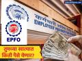 PF व्याजाची प्रतीक्षा संपणार! पीएफवर मिळणार ८.२५% व्याज; तुमच्या खात्यात किती पैसे येणार? पाहा हिशोब - Marathi News | EPF Interest Rate 2025-26: When will 8.25% Interest be credited to EPFO Account? | Latest business News at Lokmat.com