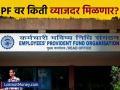 कर्मचाऱ्यांना भविष्य निर्वाह निधीवर किती व्याज मिळणार? EPFO बोर्डाने जाहीर केला व्याजदर - Marathi News | epfo board panel fixes 8 25 percent interest rate on epf deposits for fy 2024 25 | Latest business News at Lokmat.com