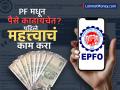 PF मधून पैसे काढायचेत? पहिले जाणून घ्या तुमच्या कंपनीनं केलंय की नाही 'हे' काम? नाहीतर क्लेम होईल रिजेक्ट - Marathi News | Want to withdraw money from PF First find out whether your company has deposited money or not else the claim will be rejected | Latest business News at Lokmat.com